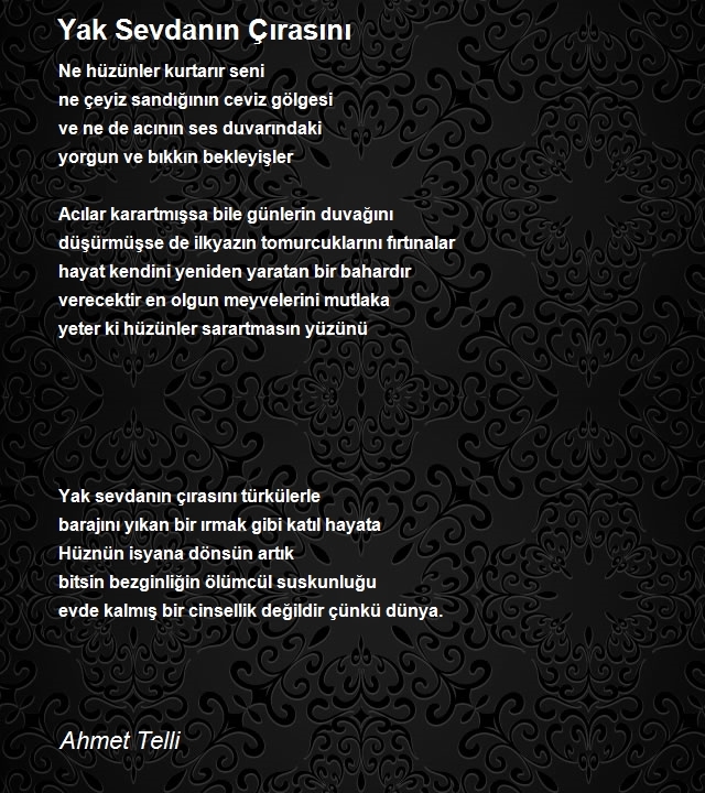 Ahmet Telli