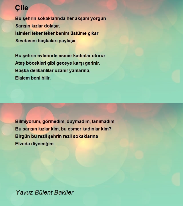 Yavuz Bülent Bakiler