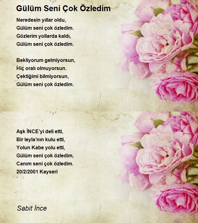 Sabit İnce