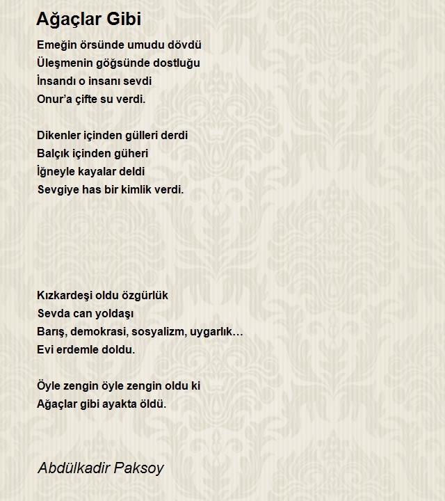 Abdülkadir Paksoy