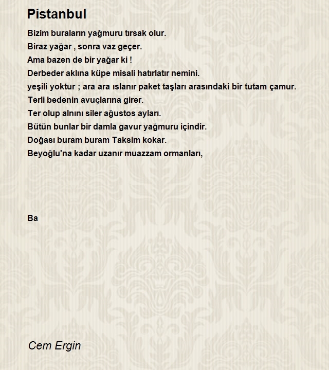 Cem Ergin