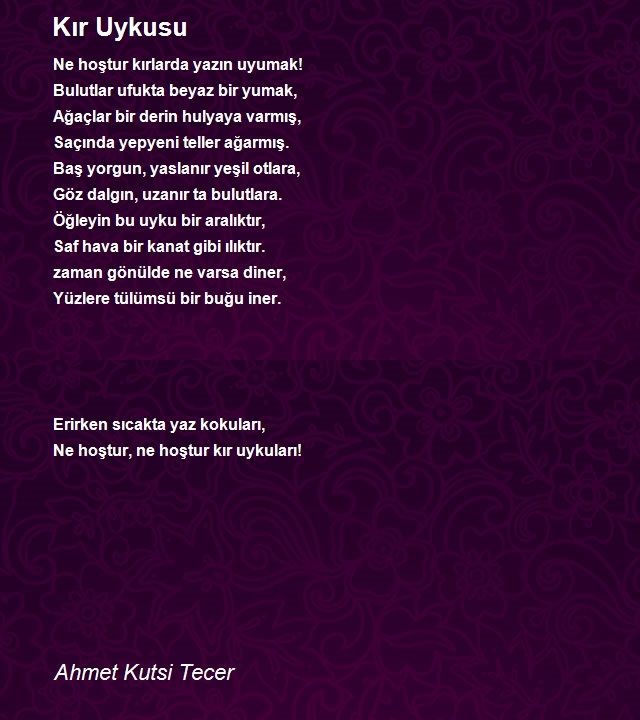 Ahmet Kutsi Tecer