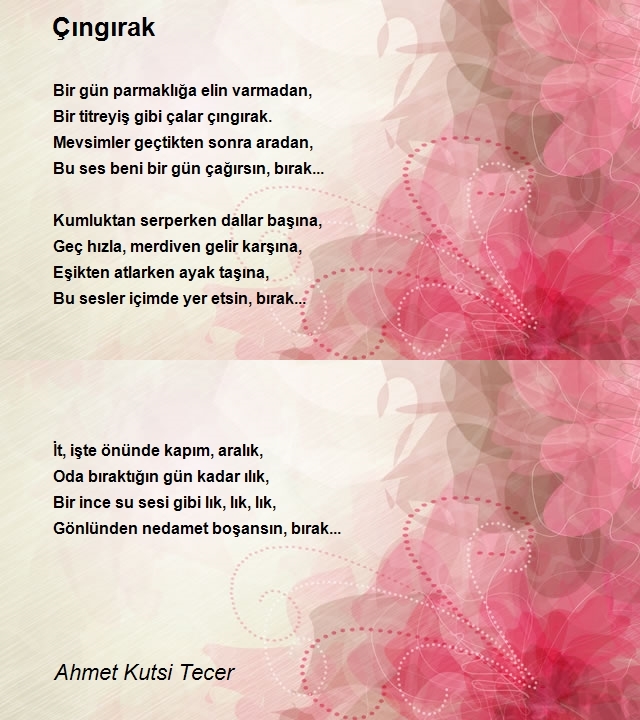 Ahmet Kutsi Tecer