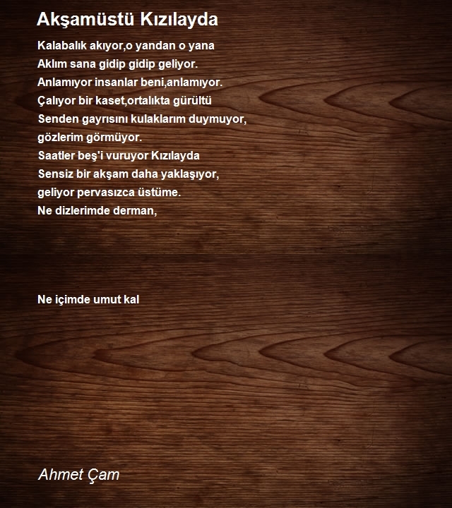 Ahmet Çam