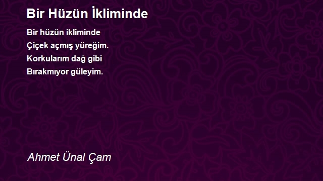 Ahmet Ünal Çam