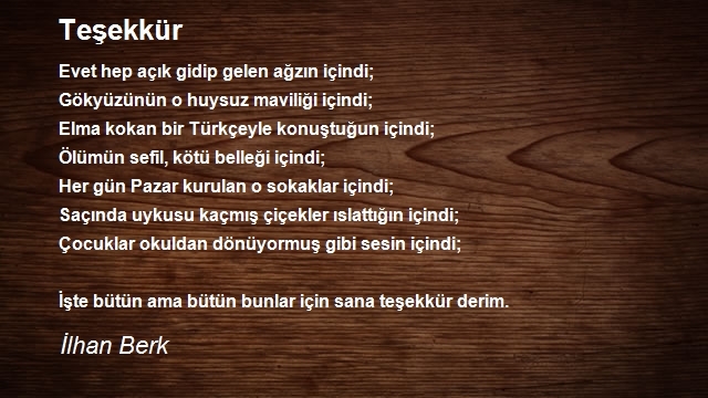 İlhan Berk