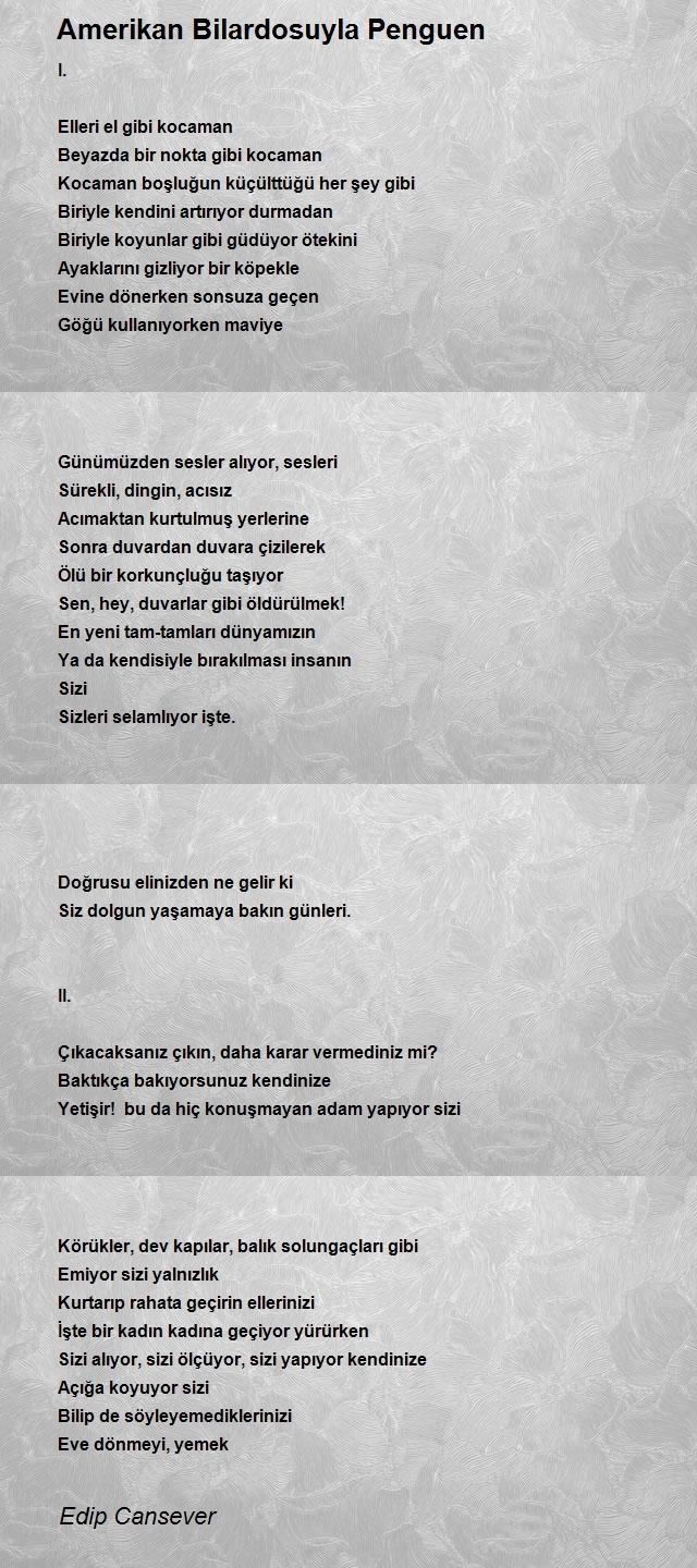 Edip Cansever