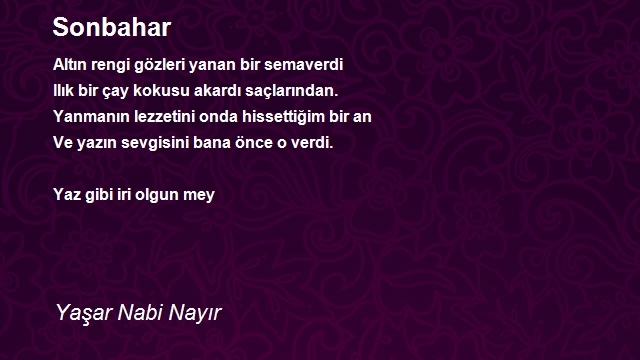 Yaşar Nabi Nayır