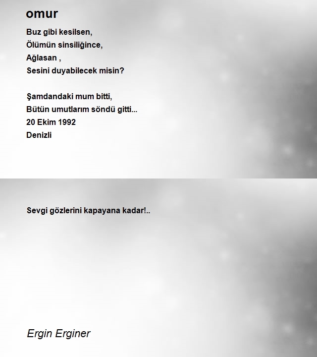 Ergin Erginer