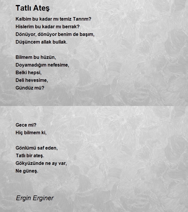 Ergin Erginer