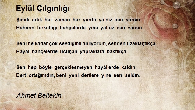 Ahmet Beltekin