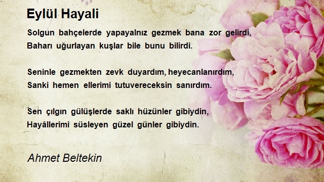 Ahmet Beltekin