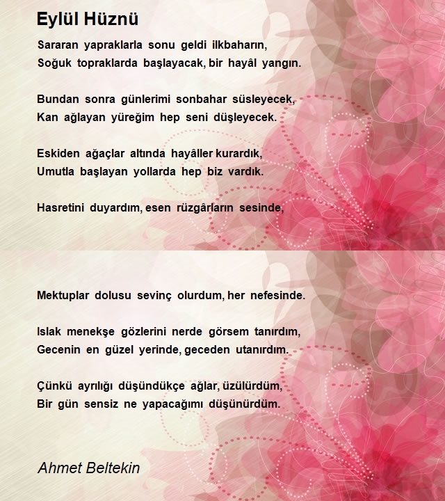 Ahmet Beltekin