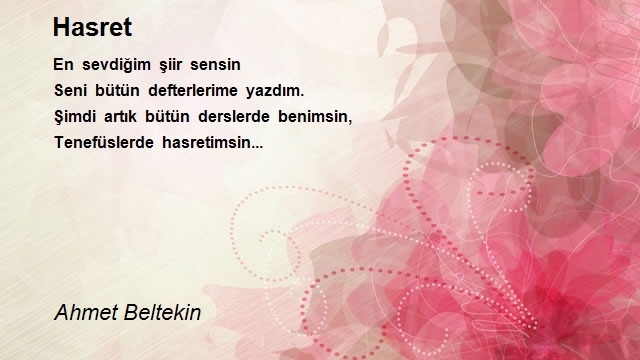 Ahmet Beltekin