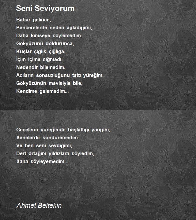 Ahmet Beltekin