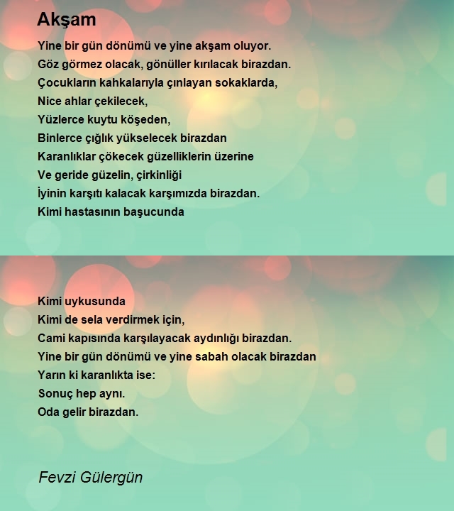 Fevzi Gülergün