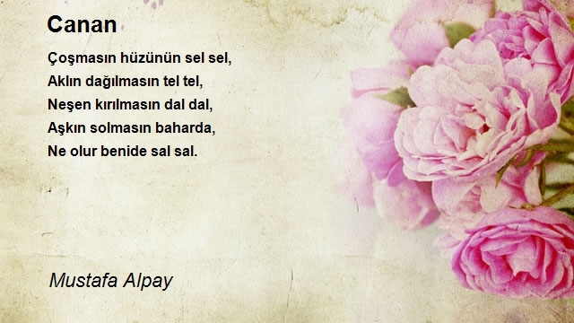 Mustafa Alpay