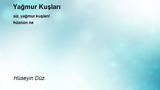 Hüseyin Düz