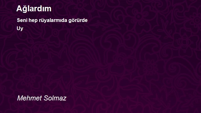 Mehmet Solmaz