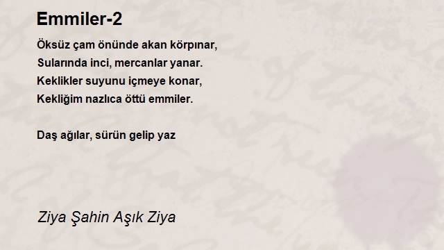 Ziya Şahin Aşık Ziya