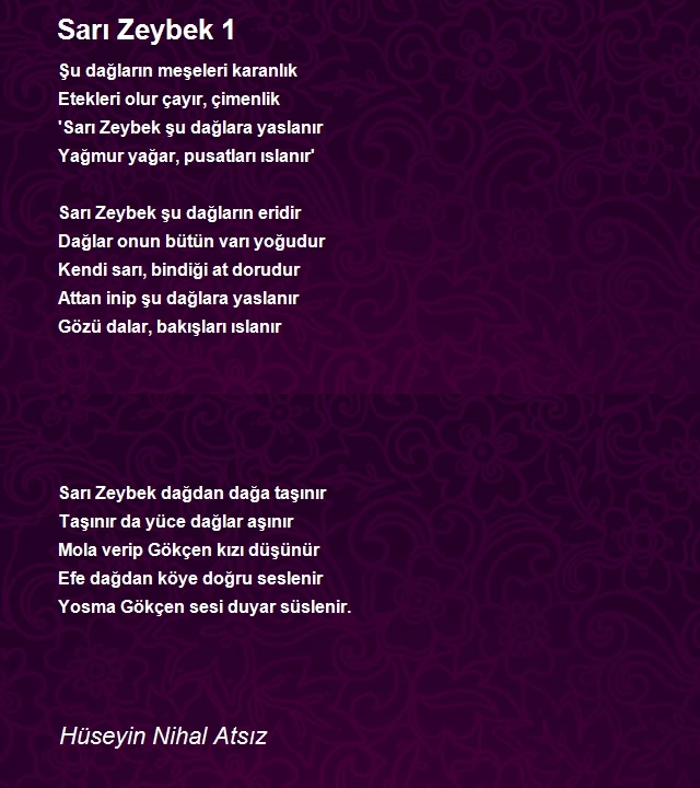 Hüseyin Nihal Atsız