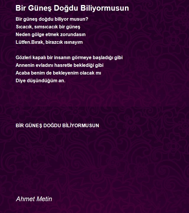 Ahmet Metin