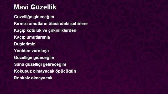 Necmettin Davulcu