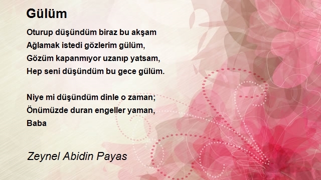 Zeynel Abidin Payas