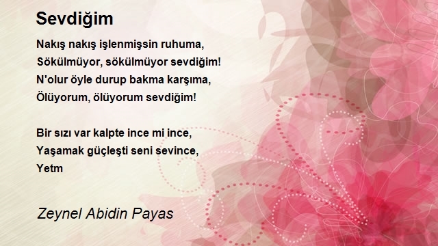 Zeynel Abidin Payas