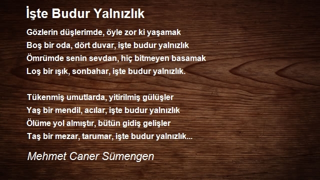 Mehmet Caner Sümengen