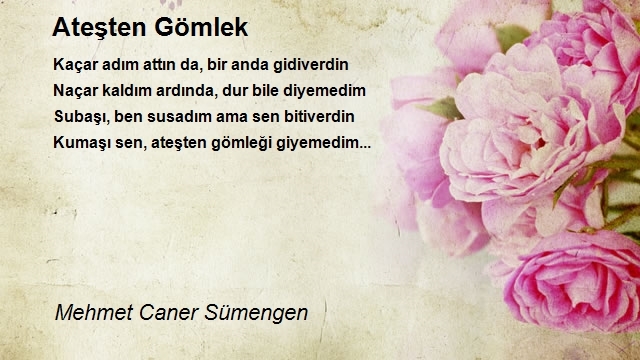 Mehmet Caner Sümengen