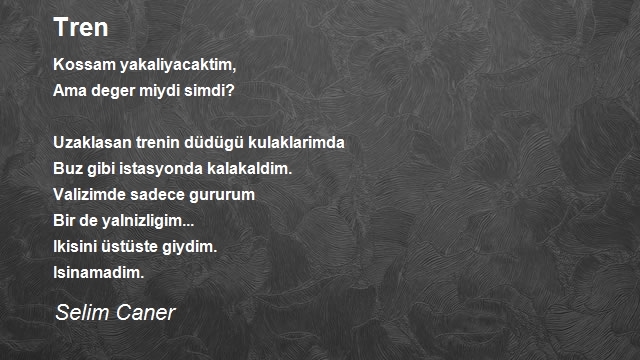 Selim Caner