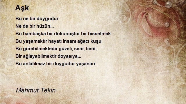 Mahmut Tekin