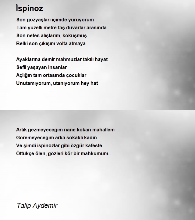 Talip Aydemir