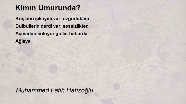 Muhammed Fatih Hafızoğlu