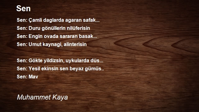 Muhammet Kaya