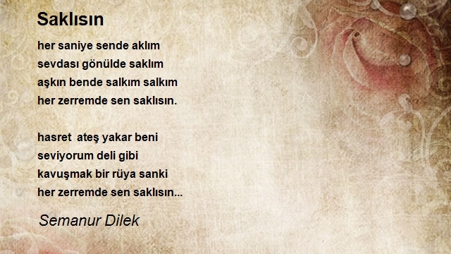 Semanur Dilek