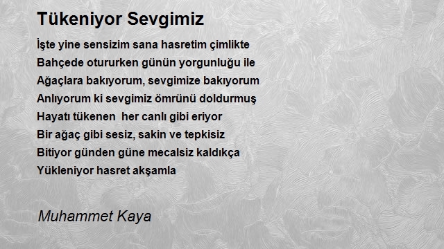 Muhammet Kaya