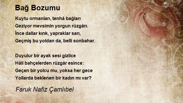 Faruk Nafiz Çamlıbel