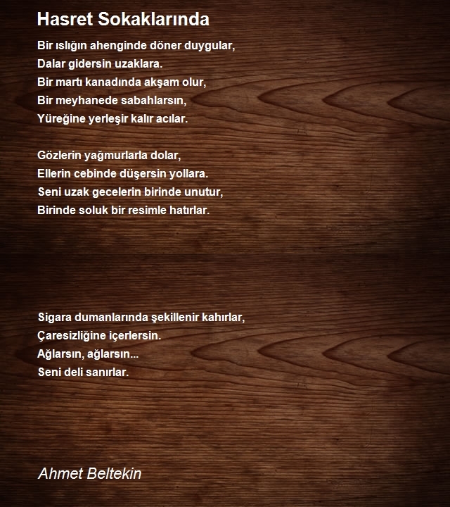 Ahmet Beltekin