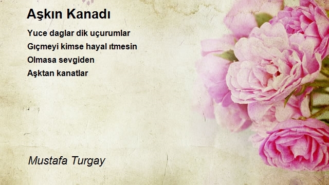 Mustafa Turgay