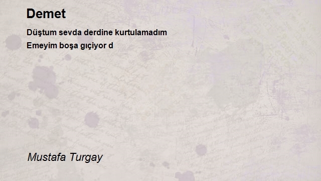 Mustafa Turgay