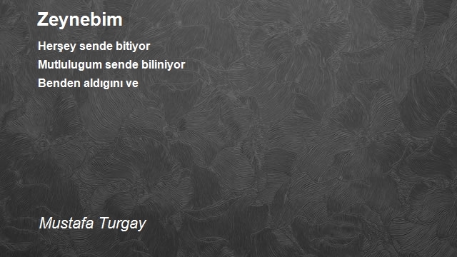 Mustafa Turgay