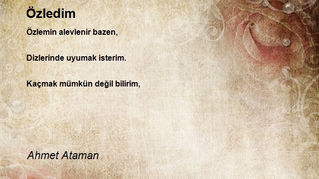 Ahmet Ataman