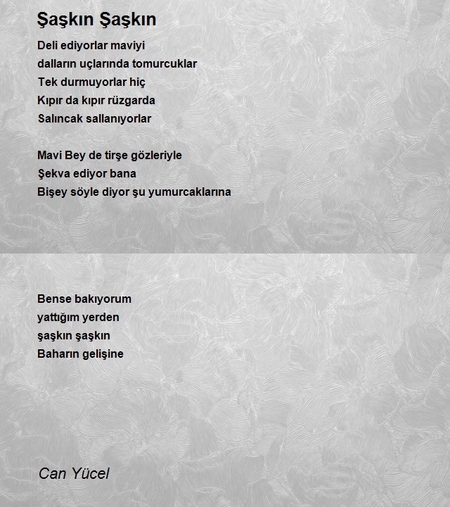 Can Yücel