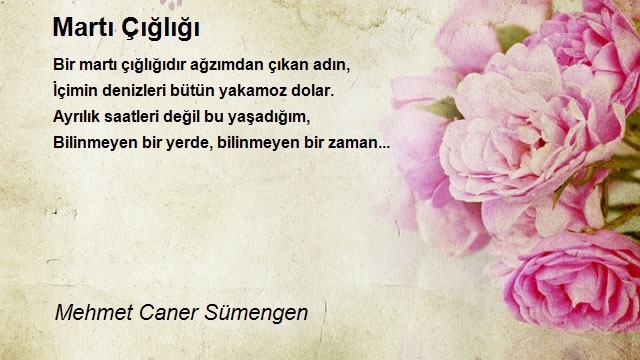 Mehmet Caner Sümengen