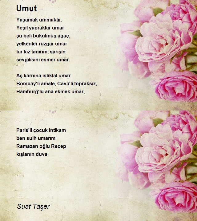 Suat Taşer