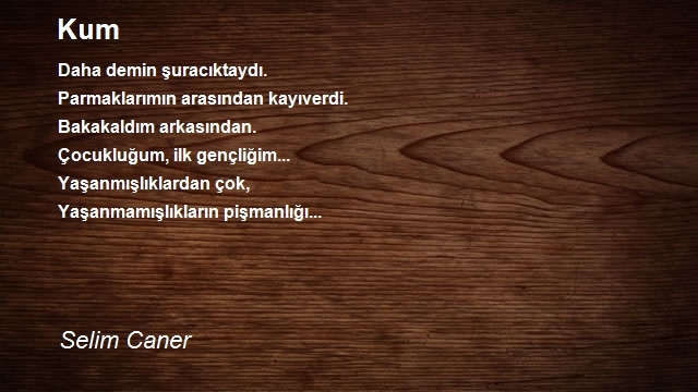 Selim Caner