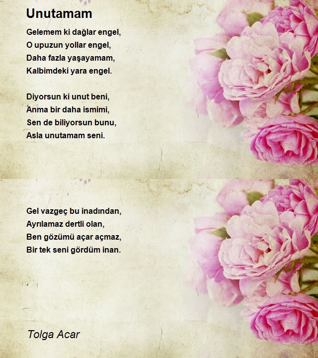 Tolga Acar