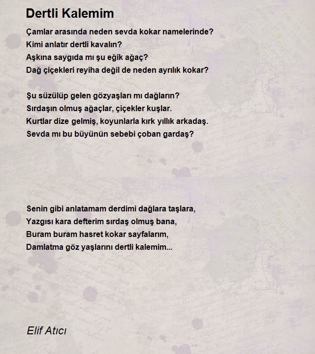 Elif Atıcı